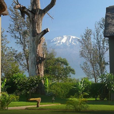 Weru Weru River Lodge Ngoại thất bức ảnh