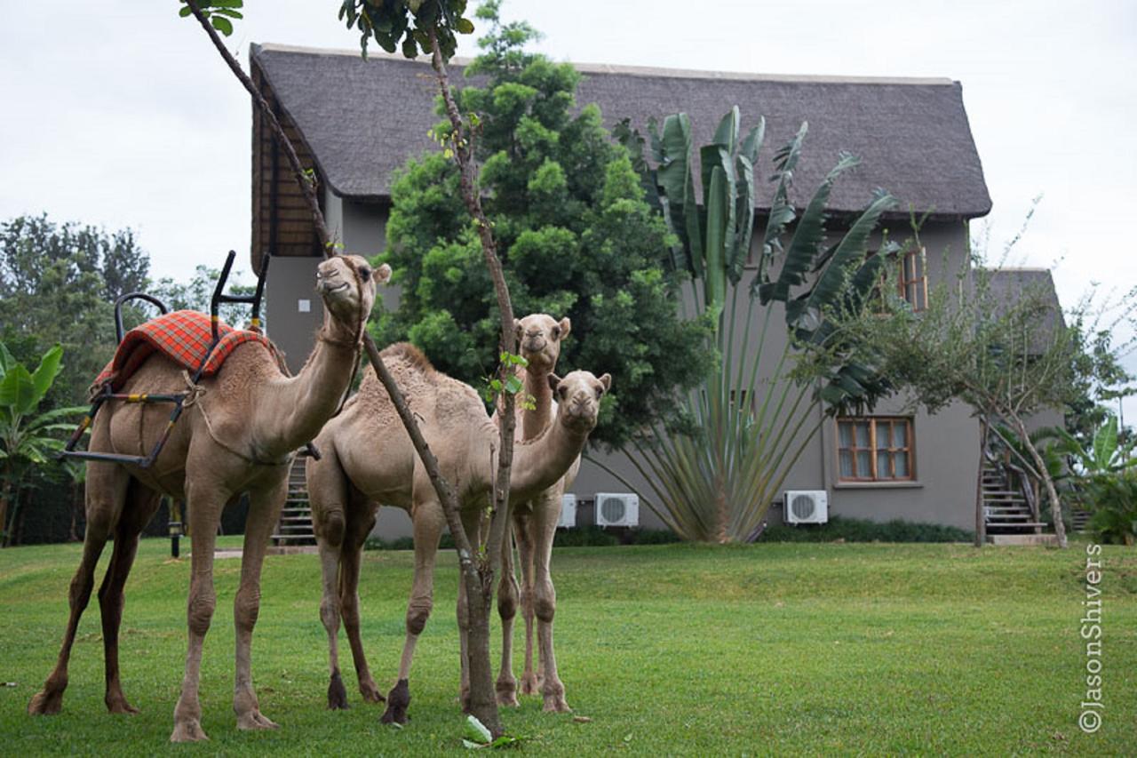 Weru Weru River Lodge Ngoại thất bức ảnh