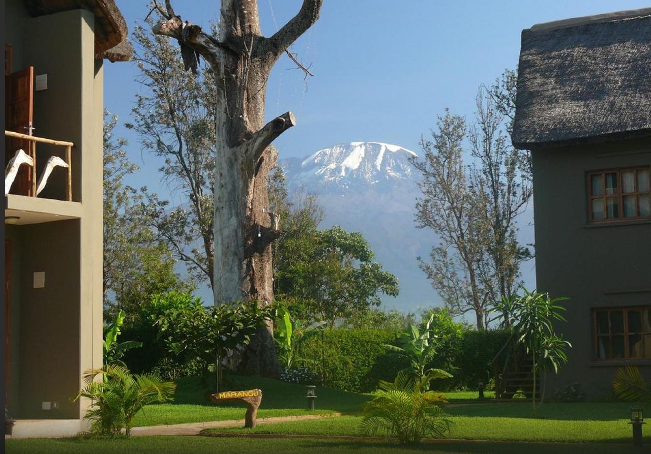 Weru Weru River Lodge Ngoại thất bức ảnh