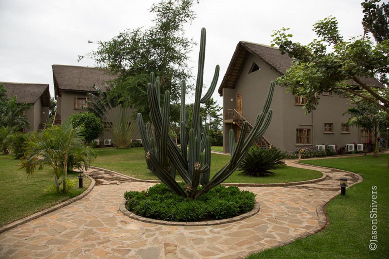 Weru Weru River Lodge Ngoại thất bức ảnh